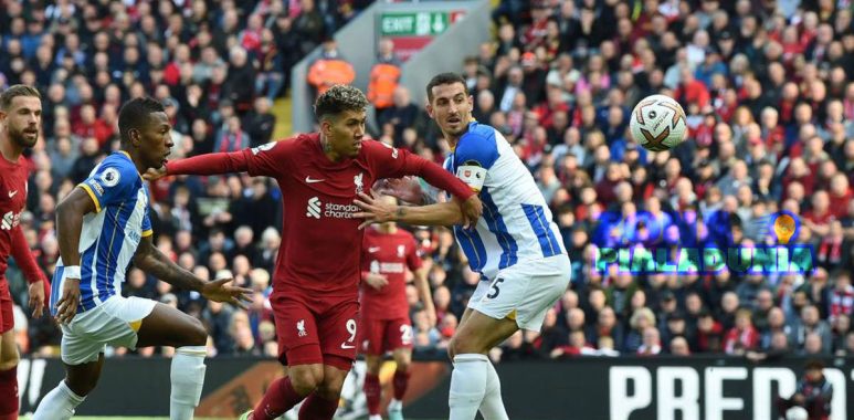 Prediksi Liverpool vs Brighton